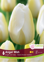 Bulb Package - Tulips