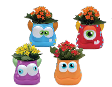 Blinky Monster Arrangement