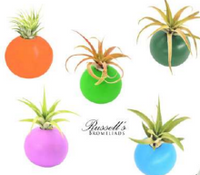 Bright Air Planters