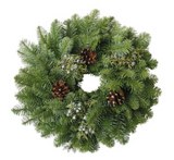 Multicone Living Wreath