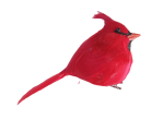 Cardinal Stake