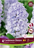Bulb Package - Hyacinth