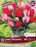Bulb Package - Colourful Companions