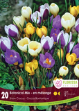 Bulb Package - Crocus