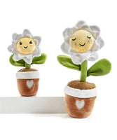 Lil Seedlings Soil Mate Plush Collection