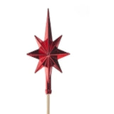 Red Shiny Ball Stake