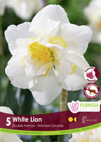 Bulb Package - Daffodils, Narcissus, Paperwhites