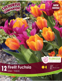 Bulb Package - Colourful Companions