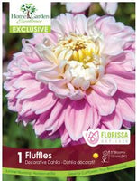 Bulb Package - Dahlia Exclusive