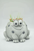 Frog Planter