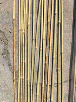 Stake Support - Bamboo Pole