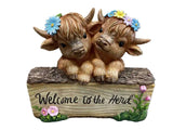 Highland Cow
