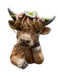Highland Cow