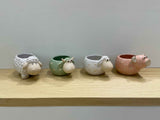 Animal Pot