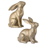 Gold Bunny