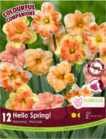 Bulb Package - Colourful Companions