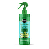 Leaf Shine