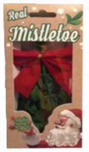 Mistletoe