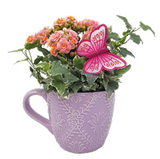 Jacquard Helen Arrangement