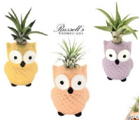 Animal Air Planters