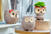 Owl Family Pot