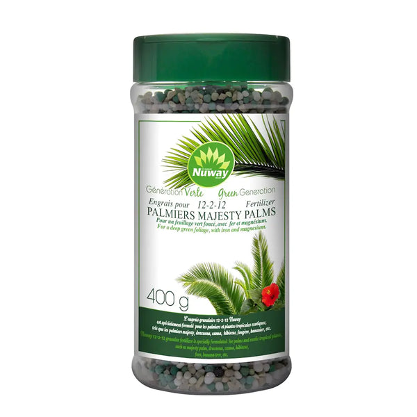 best plant food for majesty palm Majesty Palm Fertilizer 12-2-12 – Family Flowers Inc