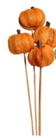 Rustic Pumpkin Pick