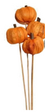 Rustic Pumpkin Pick