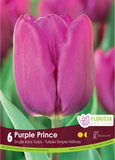 Bulb Package - Tulips