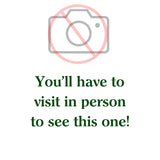 Catmint - Nepeta