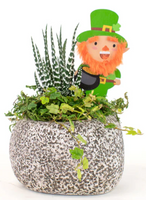 Mini Rock Garden