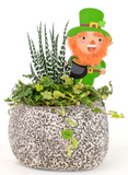 Mini Rock Garden