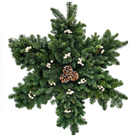 Snowflake Living Wreath