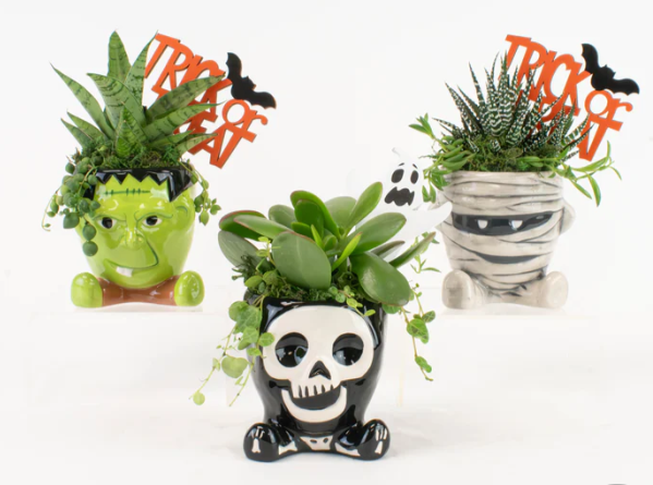 Spooky Monsters Dish Garden