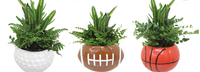 Sports Pack DishGarden