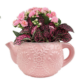 Jacquard Helen Arrangement