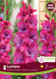 Bulb Package - Gladiolus