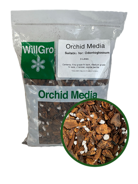 Orchid Potting Media