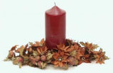 Iced Poinsettia Stem
