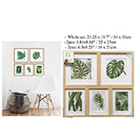 Tropical Leaves Prints - Framed and Matted