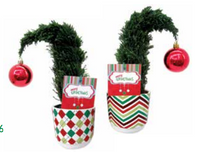 Argyle Grinchmas Planter