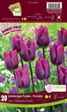 Bulb Package - Tulips