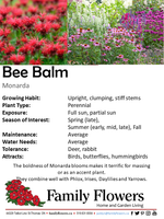 Bee Balm - Monarda didyma