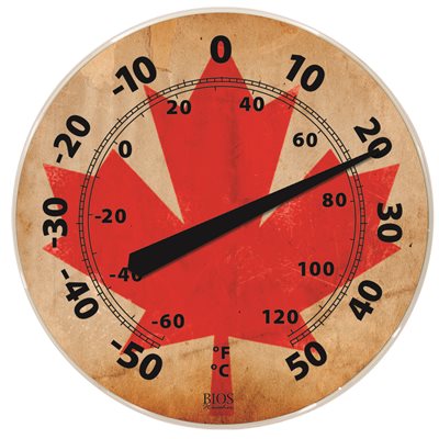 Bios Outdoor Dial Thermometer