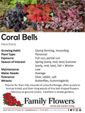 Coral Bells - Heuchera Villosa hybrid