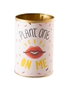 Punny Can Planter