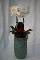 Vintage Orchid Planter
