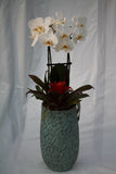 Vintage Orchid Planter