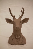 Deer Bust with Bowtie