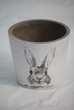 Rabbit Pot